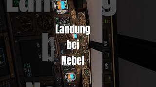 Landung bei Nebel (FOG) auf Sylt - 2024-11