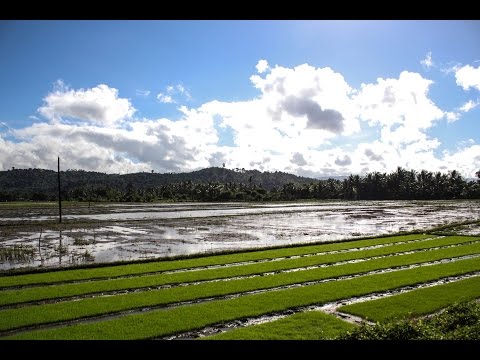 LRA: What to verify before buying a land property?