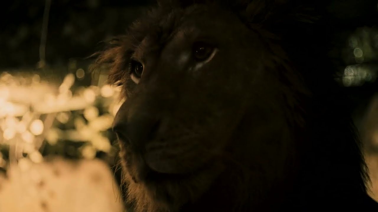 MOGUĆNOST RAJA - Clip