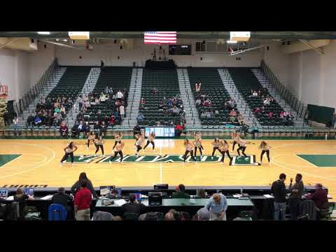 Loyola University Maryland Dance Team ‘19 (Mic Drop)