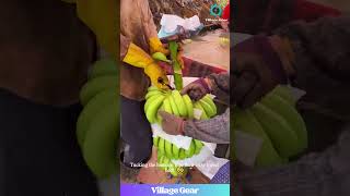 Download lagu My Man With the Blue Hair is the BANANA KING! 👑 That's Some Serious Knife Skill! #banana #farming mp3