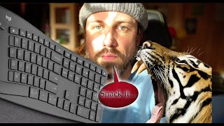 Logitech Ergo K860 (DEU) Features & Impression 4K