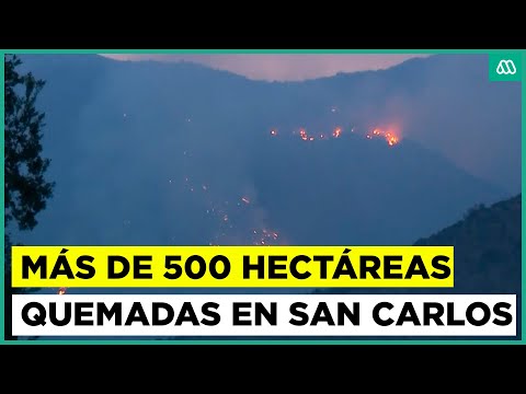 Incendio en San Carlos de Apoquindo no ha sido controlado: van más de 500 hectáreas quemadas