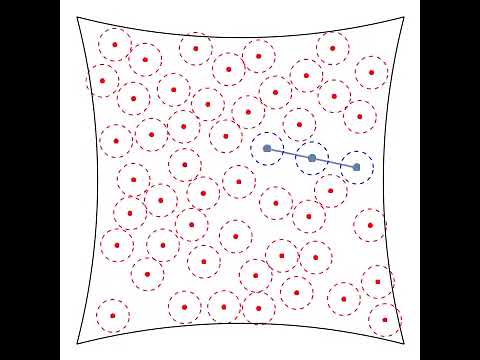 基礎理工学科 The dynamics of bead spring model