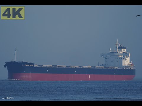 OWUSU MARU - Shipspotting Germany 🇩🇪 IMO 9888479 - River Elbe near City Otterndorf - 4K VIDEO