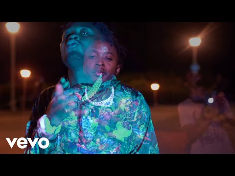 Zion deLion - Goosebumps [Official Video]