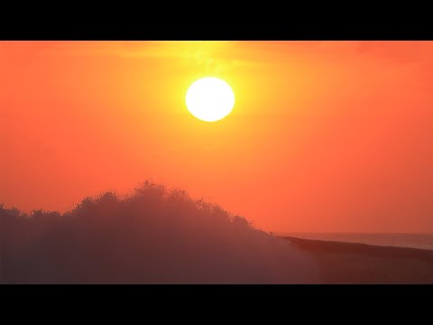 Uluwatu Reef Scene - 22 August 2020