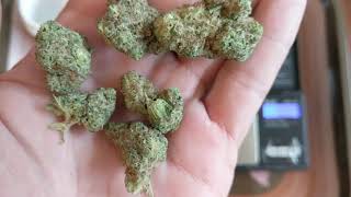 Cherry Punch 24% Trulieve