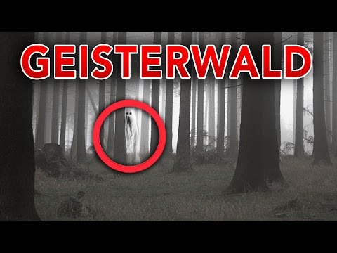 DER GEISTERWALD !!!  (FSK 16)