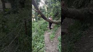 Download lagu oche niche raste ... #oldisgold #hindisong #trending #viral #youtubeshorts #manishsrivastava8737 mp3 Download lagu oche niche raste ... #oldisgold #hindisong #trending #viral #youtubeshorts #manishsrivastava8737 mp3