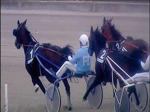 Trotto 22/12/2019 - 4ª corsa