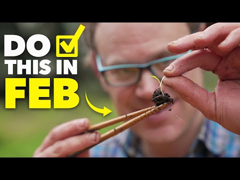 Gardening Masterclass Use my Month by Month Guide