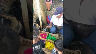 Download lagu Channa Barca in plastic wrap costs five cents? Affh, yyh?! mp3