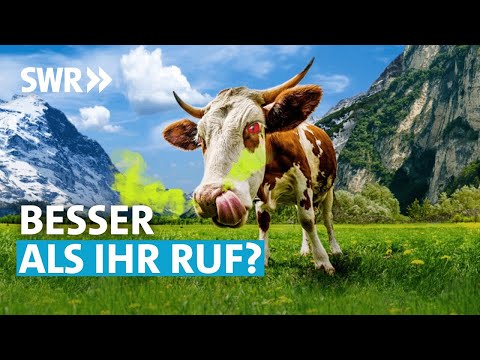 , title : 'Das Märchen von der bösen Kuh | SWR Wissen'