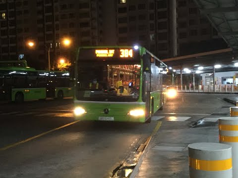 GAS Bus Service 384 [SBS6410L]: Punggol Temp Int Loop