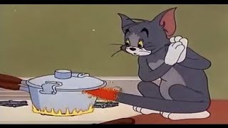 Cartoons Cartoons