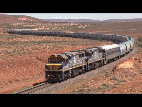 RARE GRAIN TRAIN THROUGH THE AUSTRALIAN OUTBACK + SSR Grain Train
