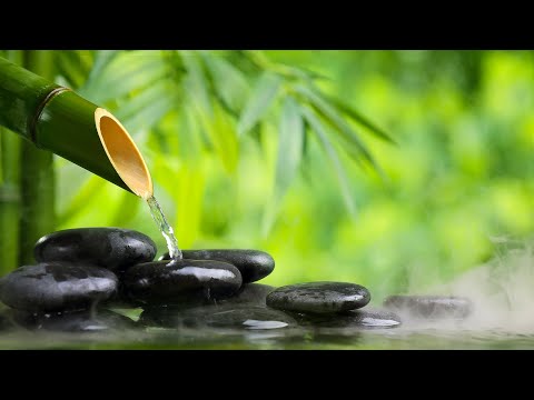 Relaxing music Relieves stress, Anxiety and Depression 🌿 Heals the Mind, body and Soul - Deep Sleep