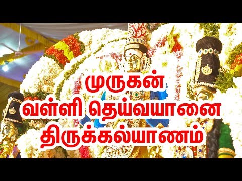 download lagu mp3 mp4 Thirukalyanam, download lagu Thirukalyanam gratis, unduh video klip Thirukalyanam