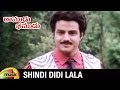 Shindi Didi La La Telugu Video Song Ramudu Bheemudu Telugu Movie Balakrishna Radha