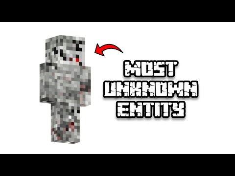 Mr. SkUll - Most Unknown Entity Of Minecraft