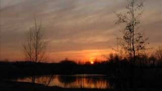 Steve Hillage:  Octave Doctors/ Not fade away.wmv