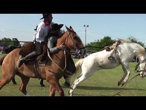 Festival de Jineteada en Villa Mantero - Categ. Basto - Coord. por Mariano Azcurrain Noviembre 2024