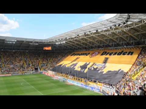SG Dynamo Dresden vs. 1.FC Köln 20.07.2013
