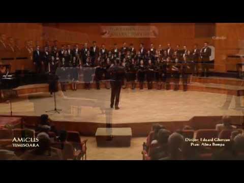 AMiCUS Timisoara - Majesty