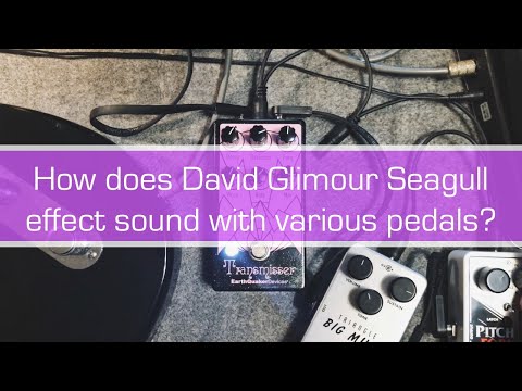 Crazy sounds: Seagull effect with various pedals