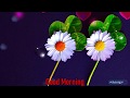 Good Morning Video Cool Music And Daisy Flowers