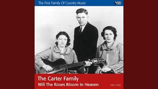 Where We&#39;ll Never Grow Old