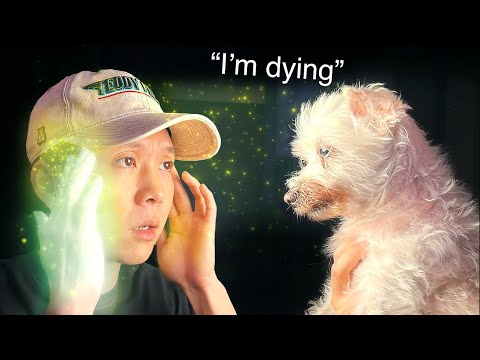 Tuve una conversación real con mi perro. Ahora estoy aterrada.