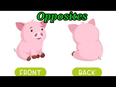 opposites | learn opposites | big ang small | opposite words | opposite words for kids | antonmys
