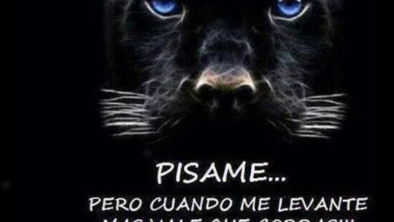 Watch LAS MEJORES FRASES SOBRE LA VENGANZA Now LAS MEJORES FRASES SOBRE LA VENGANZA