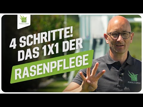 🌱 Die 4 wichtigsten Schritte für schönen, dichten Rasen - Das 1x1 der Rasenpflege 🌱