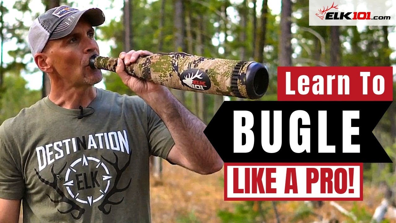 Learn to Bugle with Diaphragm Elk Calls