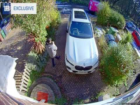 Homeowner confronts Amazon delivery driver 'trying to steal' cat