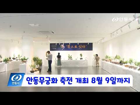 [안동 현장 리포트] 8월 7일, 안동무궁화 축전 개최 8월 9일까지
