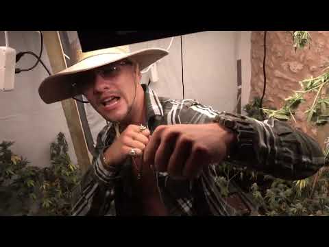 Blocctwinmanzhi - Steh deinen Mann (Prod Midnight7k & OG Berger)