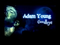 Goodbye Adam Young (Owl City) cover from ...