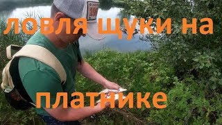 Щука на платнике джиг