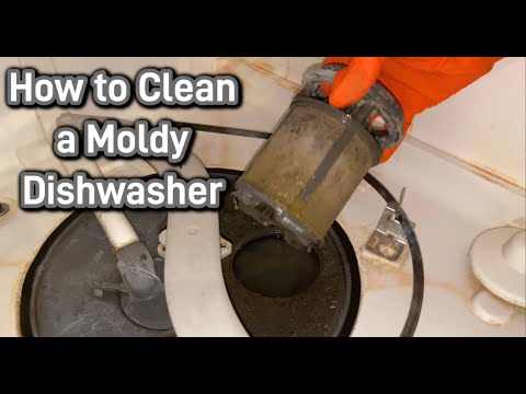 How I got my moldy dishwasher super clean