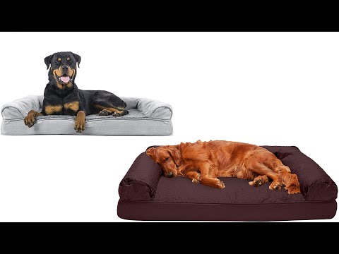 Best Style Dog Bed | Top 10 Style Dog Bed For 2022 | Top Rated Style Dog Bed