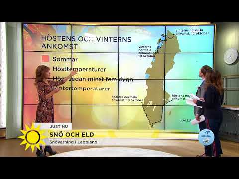 Dagens väder: "I oktober har vi alla årstider i Sverige" - Nyhetsmorgon (TV4)