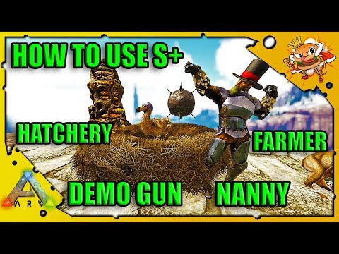 Everything You Ever Wanted To Know About S+ But Were Afraid To Ask! S+ Pulling Hatchery Nanny Farmer