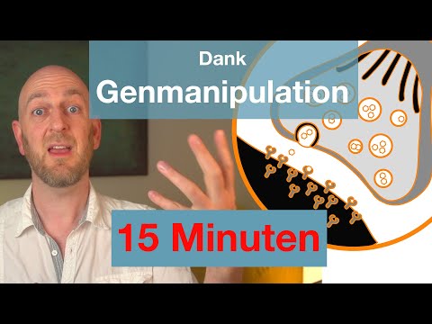 Lebenslanges ZU FRÜH KOMMEN individuell lösen - ohne Medikamente