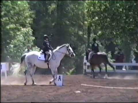 1994 05 21 22 Dressage Rally