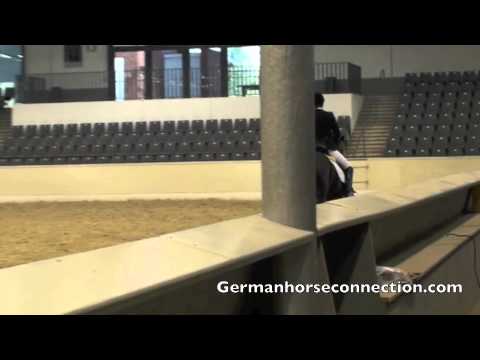 Desiderio at Hanoverian approval