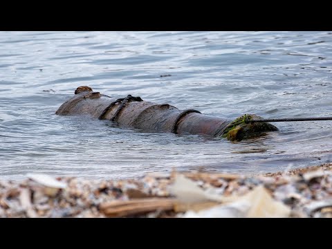 Обложка видео